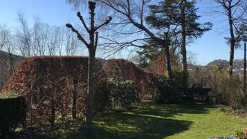 Apartment, 1 Bedroom, Accessible, Fireplace | Garden