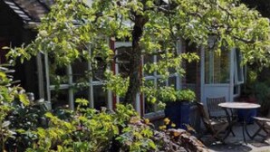 A house with a porch, a garden with pink flowers, and a clear sky. - Serene Countryside Apartment in Gjesdal, Norway (Gjesdal)
