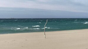 A beach with a single tree in the sand and the ocean in the background. - Serene Countryside Apartment in Gjesdal, Norway (Gjesdal)