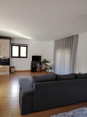 TV - Apartment 'Casa Dos Cortinhais' with Lake View, Wi-Fi and Air Conditioning (Vieira do Minho)