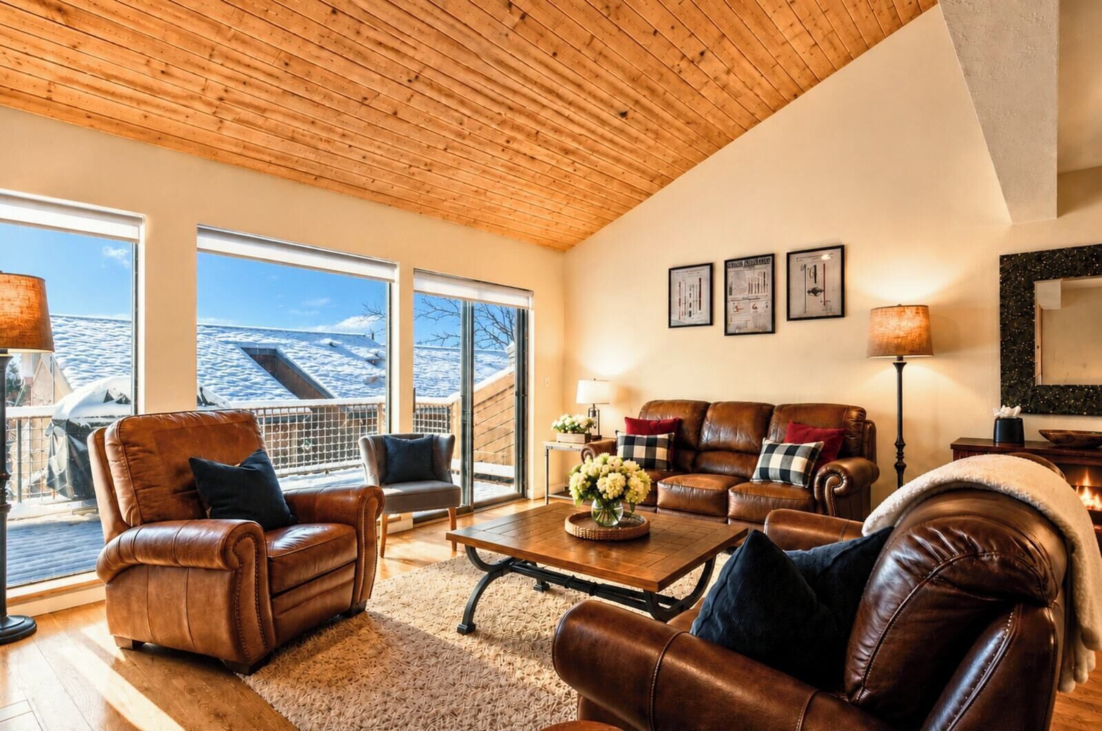 TV, fireplace
