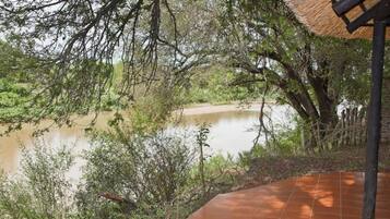 Standard Bungalow | Property grounds