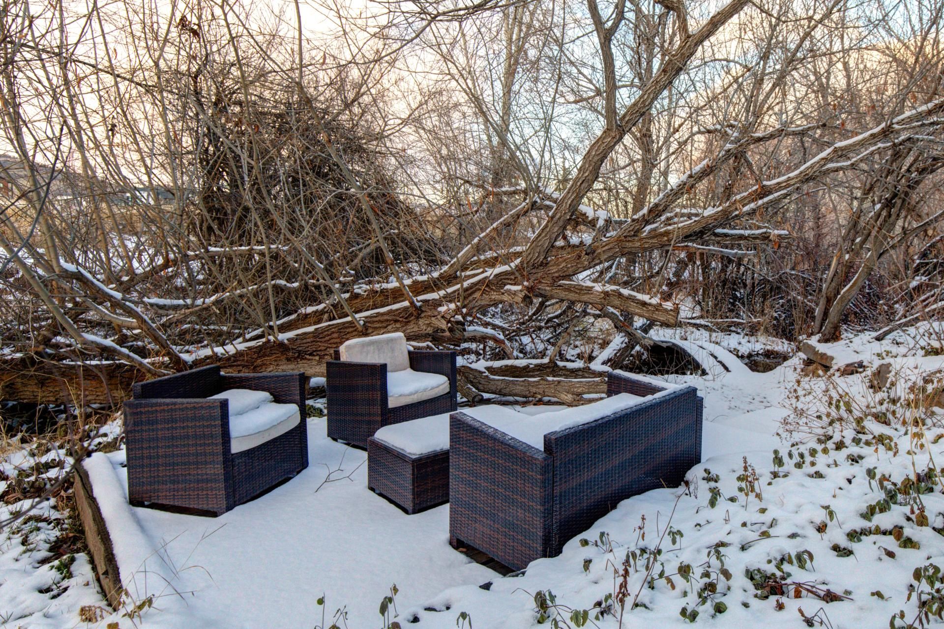 Outdoor wicker furniture with cushions covered in snow, set against a backdrop of bare trees and branches.