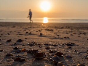 Beach - ZeeNobel by Interhome (Domburg)