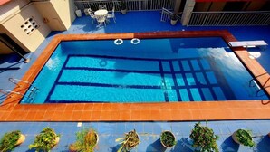 Piscina rectangular con solárium alicatado, rodeada de plantas en macetas y una barandilla metálica.