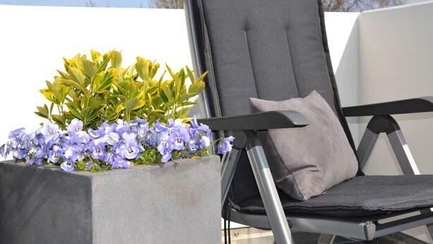Una silla con cojín, ubicada junto a una maceta con flores.
