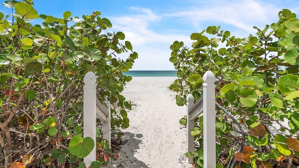 Un sendero que conduce a una playa con barandillas blancas y abundante follaje verde.