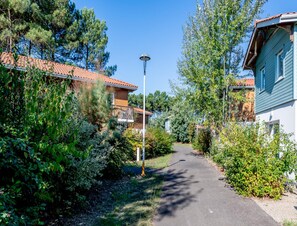 House | View from property - Large Nature Retreat for 8 by the Lake (Parentis-en-Born)