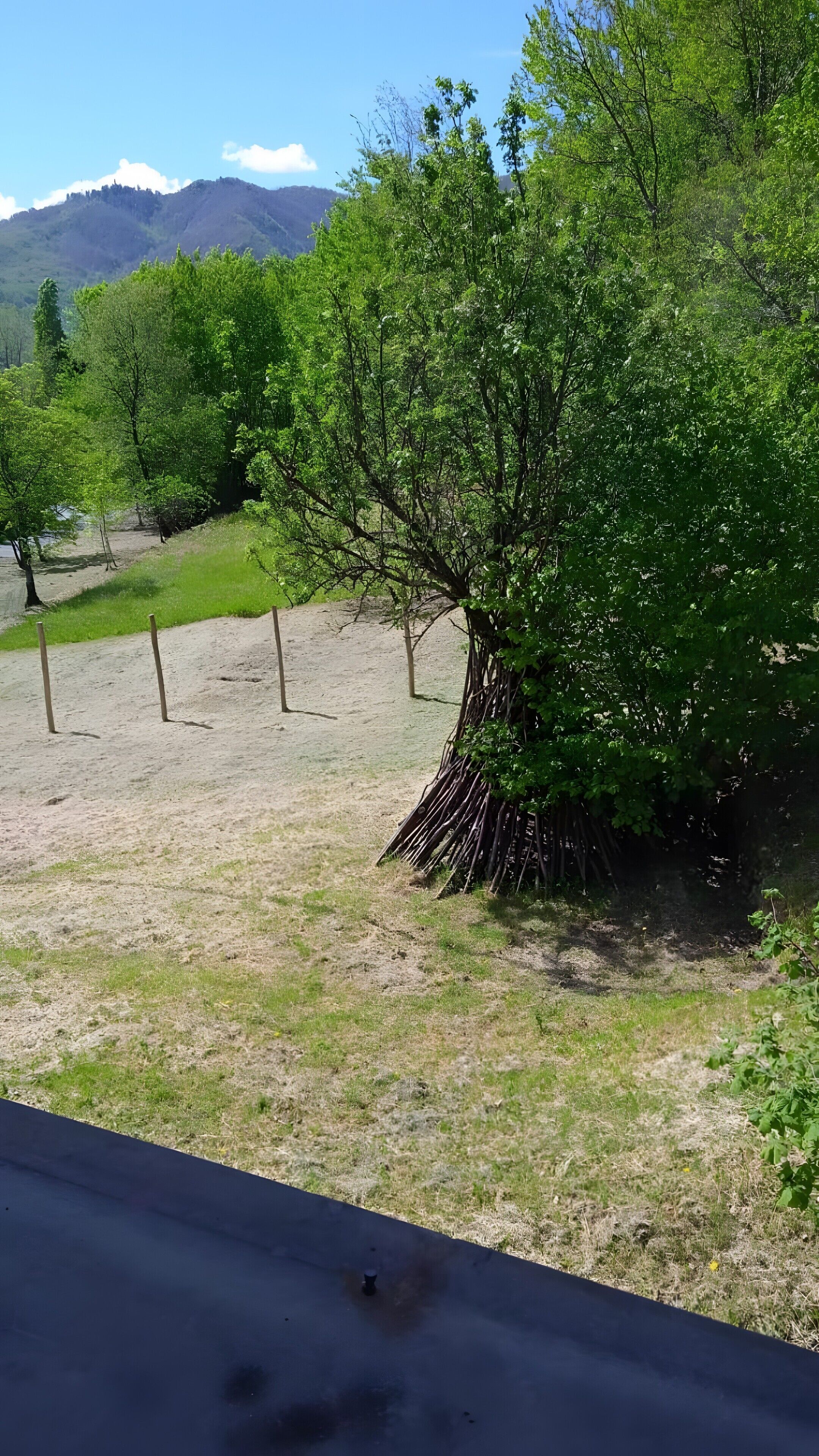 Parco della struttura