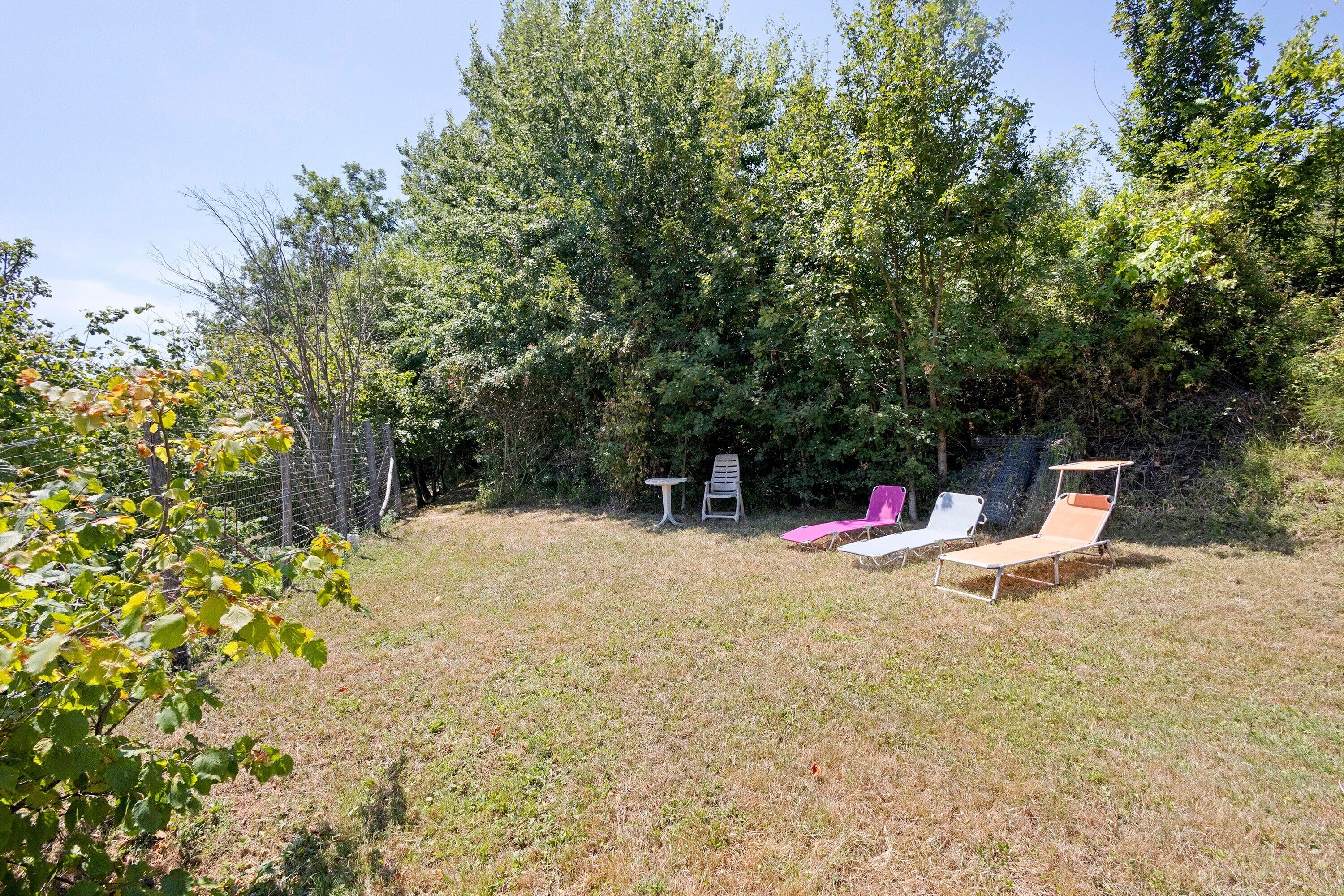 An outdoor seating area with lounge chairs and a table, surrounded by trees and a fence.