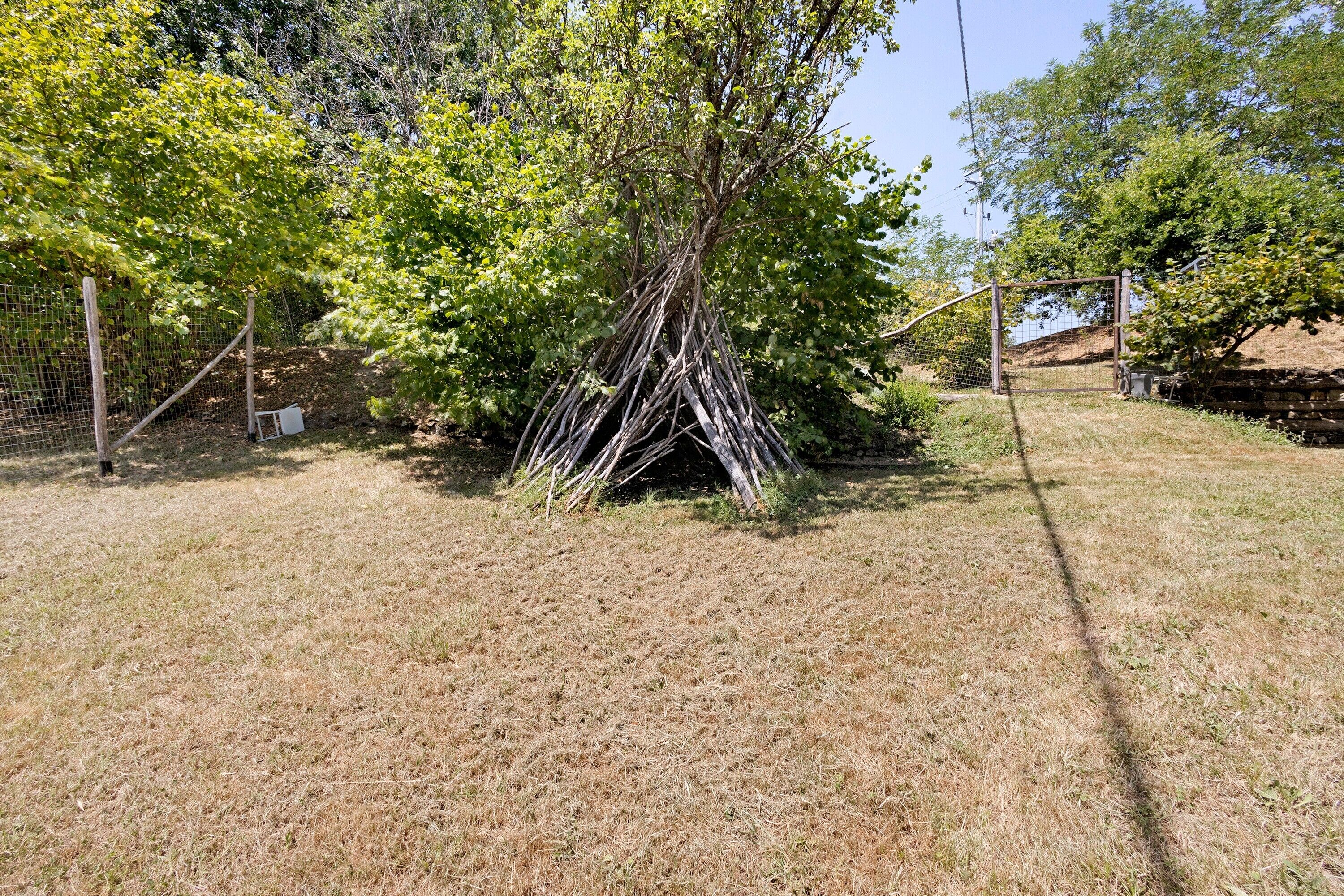 Un'area erbosa e arida con un albero e una recinzione.