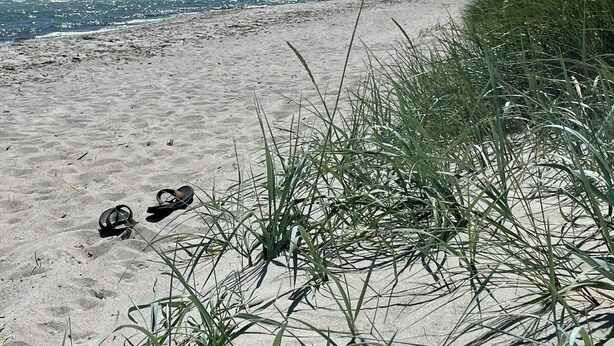 Uma praia com areia, algas marinhas e um par de chinelos.