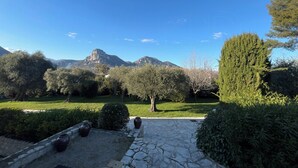 Un sendero de piedra que lleva a un parque con árboles y una montaña al fondo.