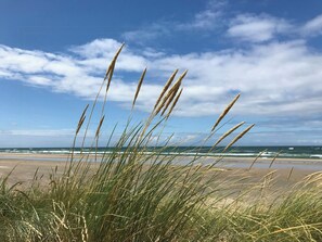 Beach - Authentic holiday home idyll near beach and forest ( Ålbæk)