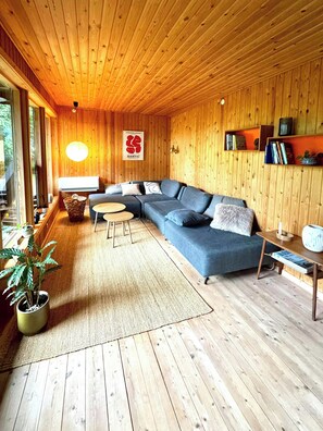 TV, fireplace - Architectural cottage on 7000 sqm nature plot (Hadsund)