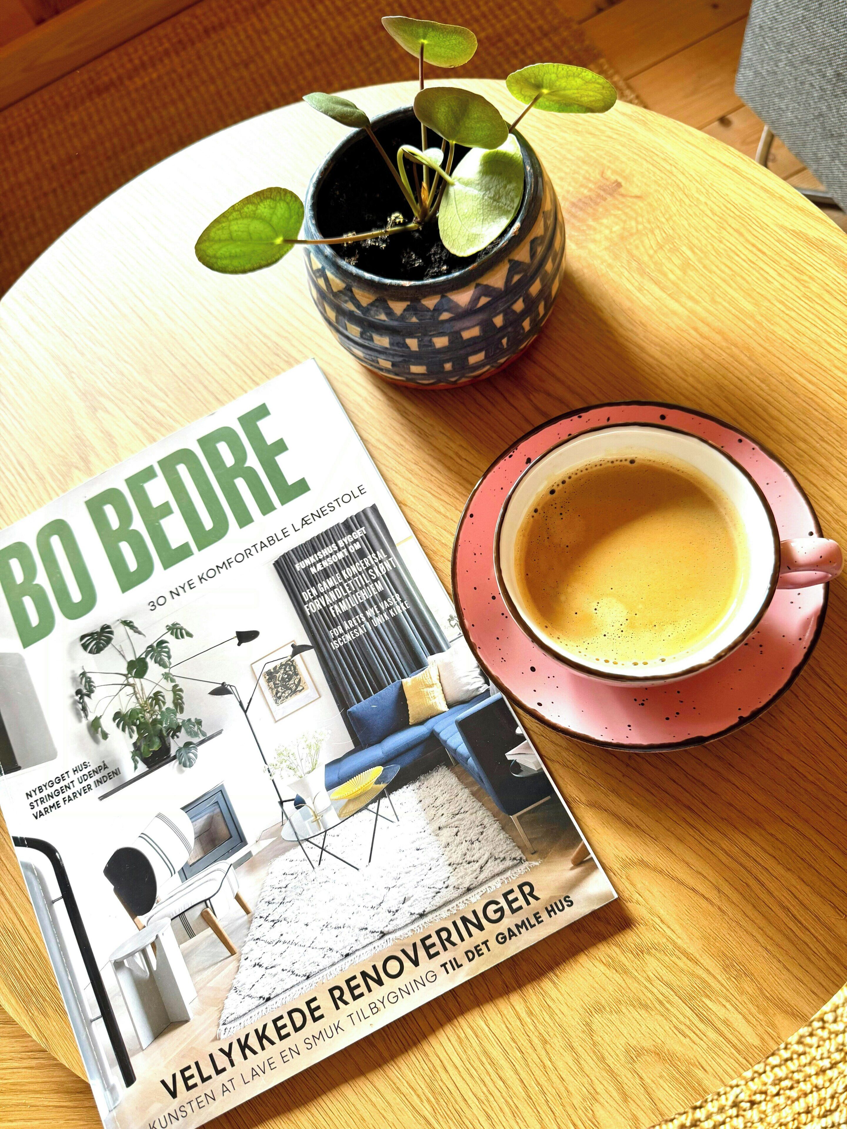 Una revista, una taza de café y una planta en maceta sobre una mesa de madera.
