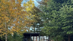 A secluded wooden cabin with a deck, surrounded by trees and a grassy area. - Architectural cottage on 7000 sqm nature plot (Hadsund)