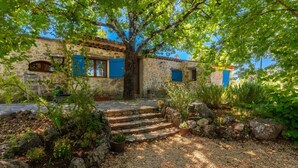 A stone building with blue shutters, a tree in front, and steps leading up to the entrance. - Holiday Home 'Lou Mazet Du Gaudon' with Shared Pool, Shared Terrace and Shared Garden (Montauroux)