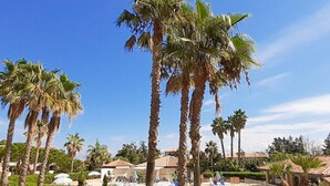 Ein Poolbereich mit Palmen, blauem Himmel und einem Gebäude mit einem Ziegeldach im Hintergrund.