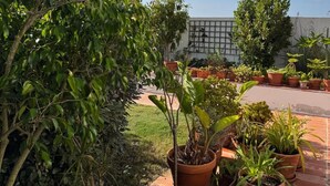 A rooftop garden with potted plants, a clear sky, and a building in the background. - Casinha do Burro – Casas do Poente: Cozy Cottage with Private Patio (Rogil)