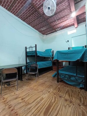 Family Room - La buena Estancia Casa de Huespedes (Mexico City)