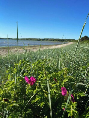 Beach - Holiday home just 10 meters from private beach (Roslev)