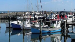 Een jachthaven met verschillende boten afgemeerd, kalm water en een heldere lucht.