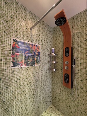 Douche, séchoir à cheveux, serviettes fournies, savon