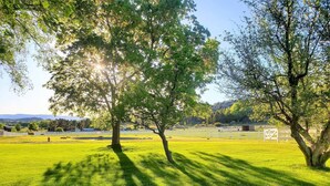 Un champ verdoyant avec des arbres et une clôture blanche.