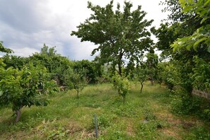 Garden - Soma Apart-Hotel (Yerevan)