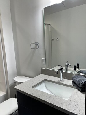 Hair dryer, towels, soap, toilet paper