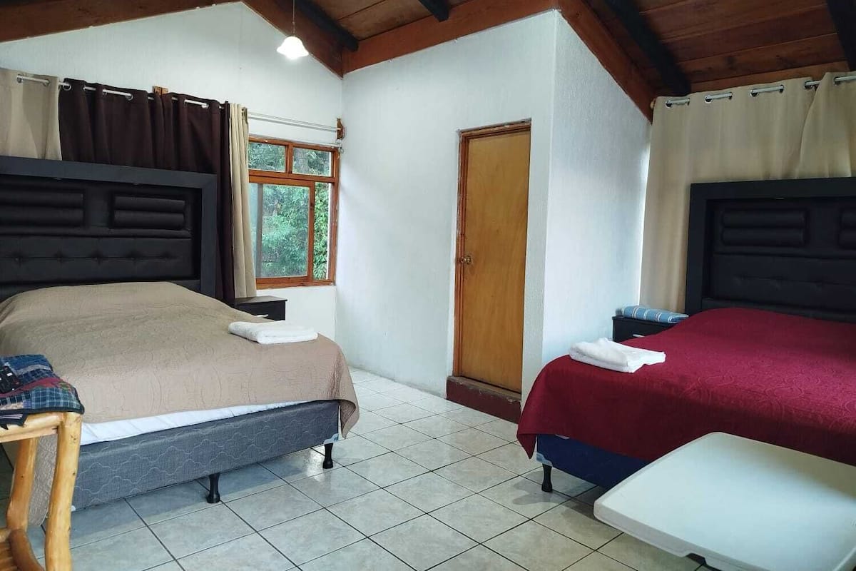 Una habitación con dos camas, techo de madera, una ventana con cortinas y una puerta.