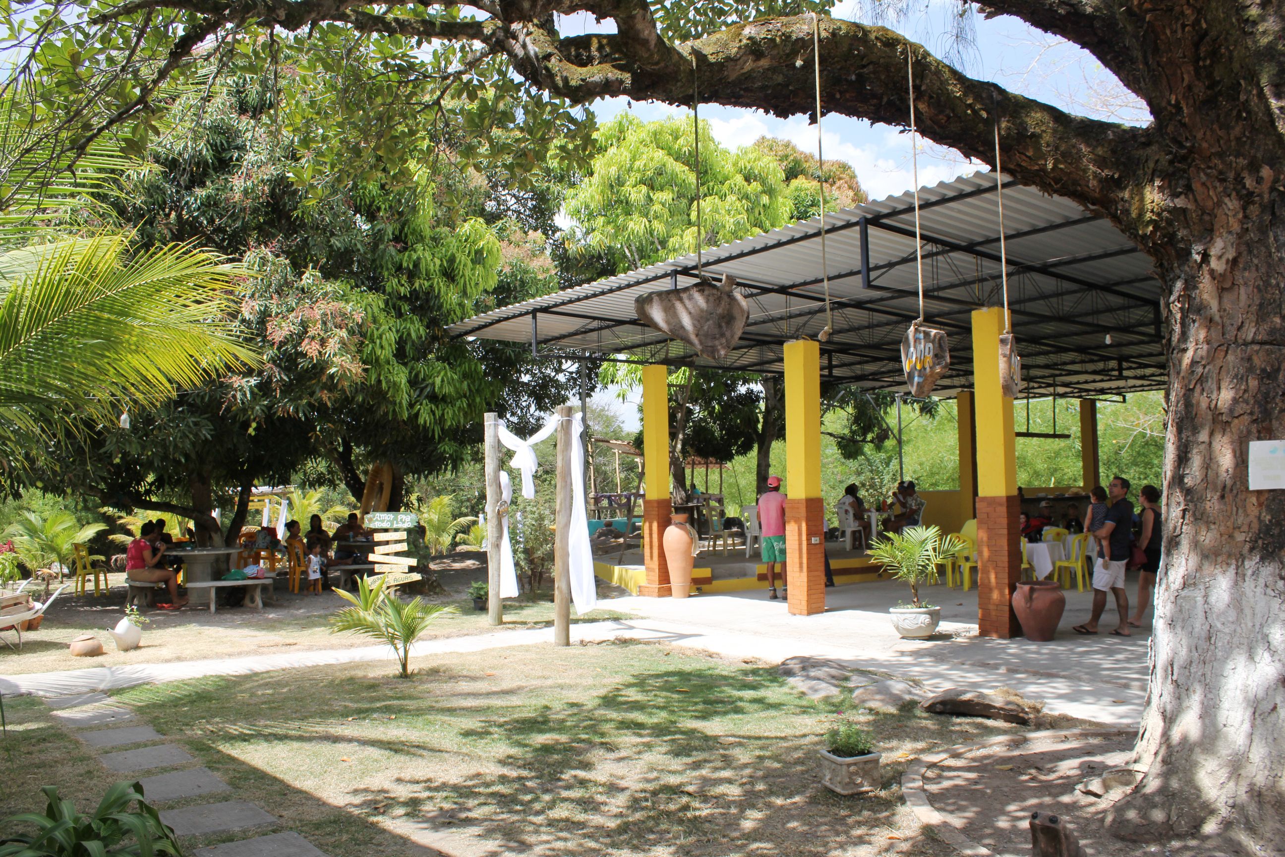 Un espacio al aire libre cubierto con asientos, rodeado de árboles y follaje.