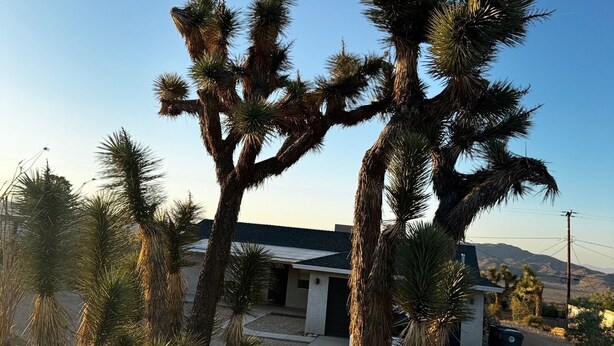 A desert landscape with Joshua trees and a modern house with a garage. - Sweeping Desert & Mountain Views Near Downtown Joshua Tree & JT National Park (Joshua Tree)