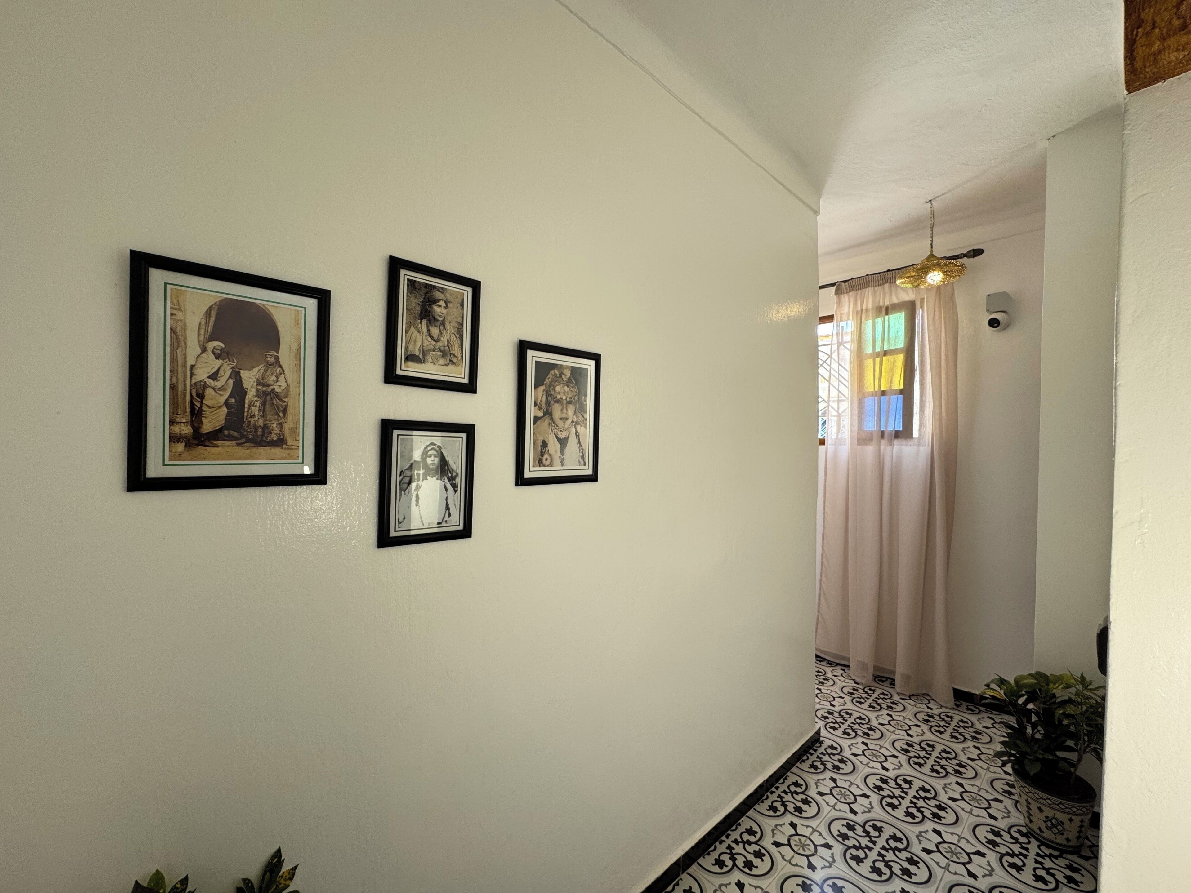 Un couloir avec quatre tableaux encadrés accrochés au mur, une plante en pot et des carreaux de sol à motifs.