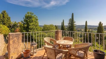 Una terraza con mobiliario de mimbre, una mesa y una planta en maceta.