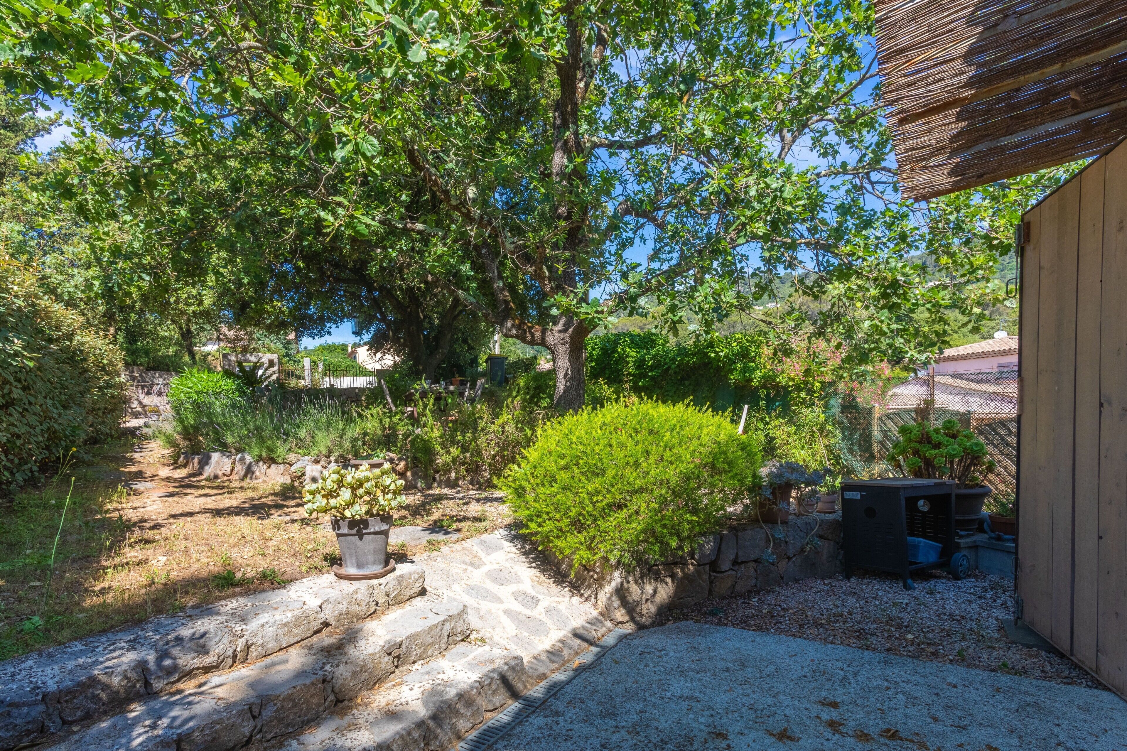 Un jardin avec un chemin de pierres, un abri en bois et une variété de plantes.
