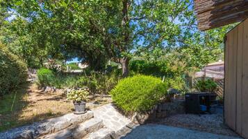 Un jardin avec un chemin de pierres, un abri en bois et une variété de plantes.