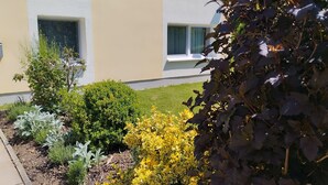 Un edificio moderno con facciata piatta, due finestre e un giardino curato con arbusti e fiori gialli.