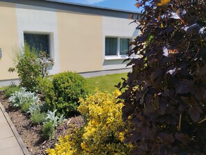 Ein modernes Gebäude mit flacher Fassade, zwei Fenstern und einem gepflegten Garten mit verschiedenen Sträuchern und gelben Blumen.