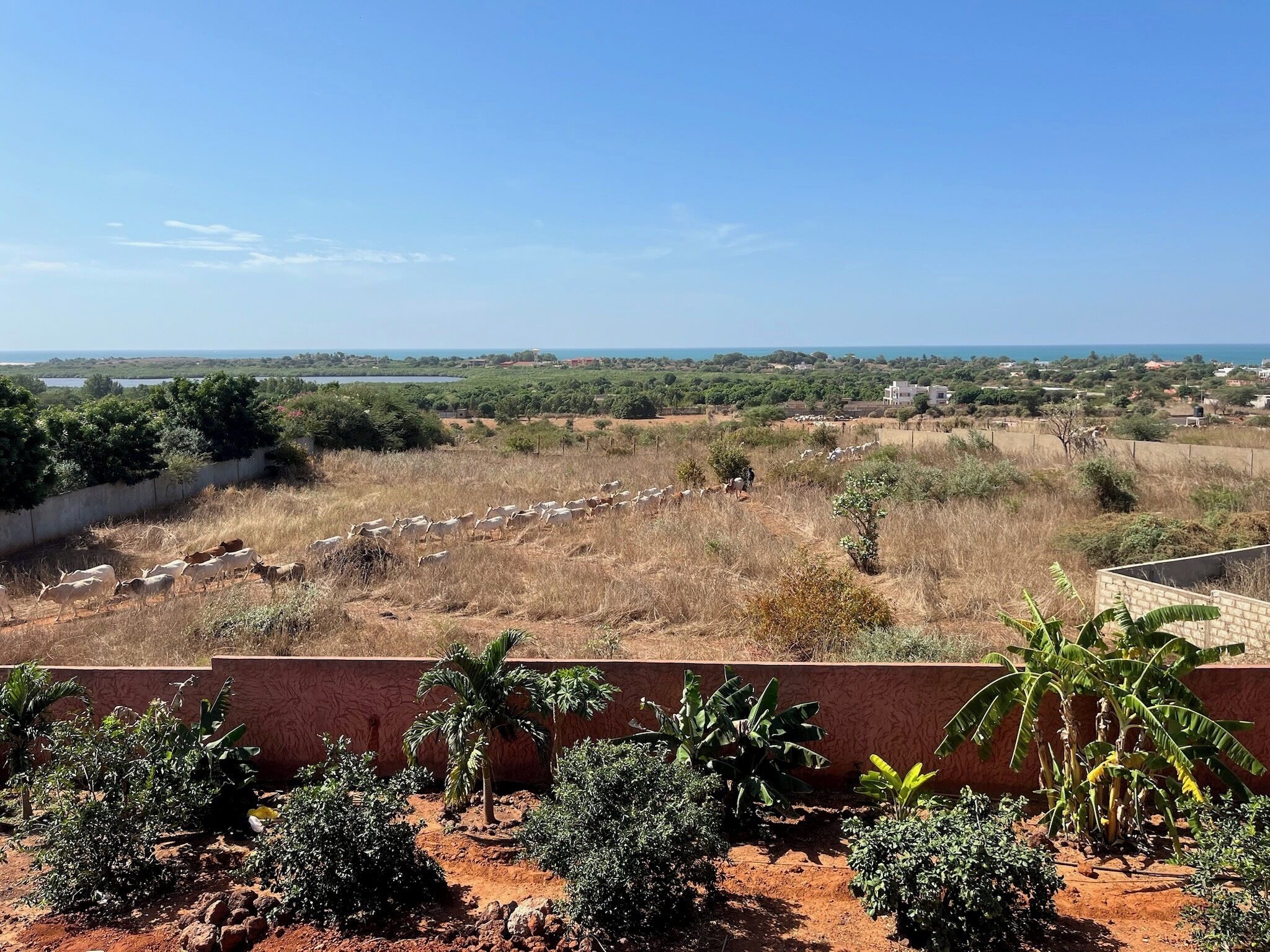 View from room