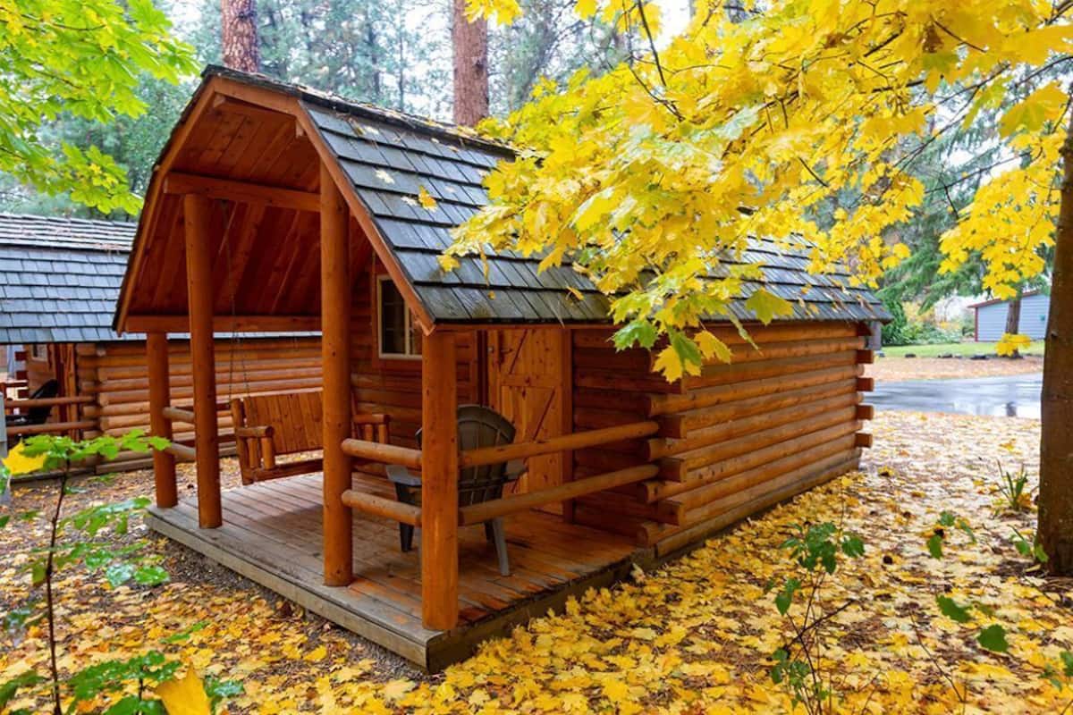 Eine Holzhütte mit Veranda, umgeben von Herbstlaub.