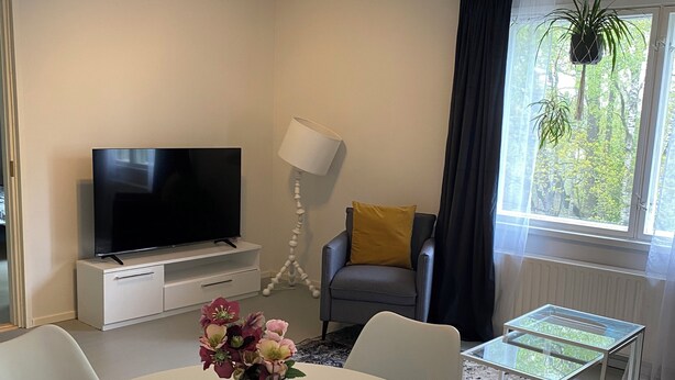 Ein modernes Wohnzimmer mit Flachbildfernseher, einem runden Esstisch mit Stühlen, einem Glastisch und einer Stehlampe. Durch das Fenster ist Grünpflanzen zu sehen.