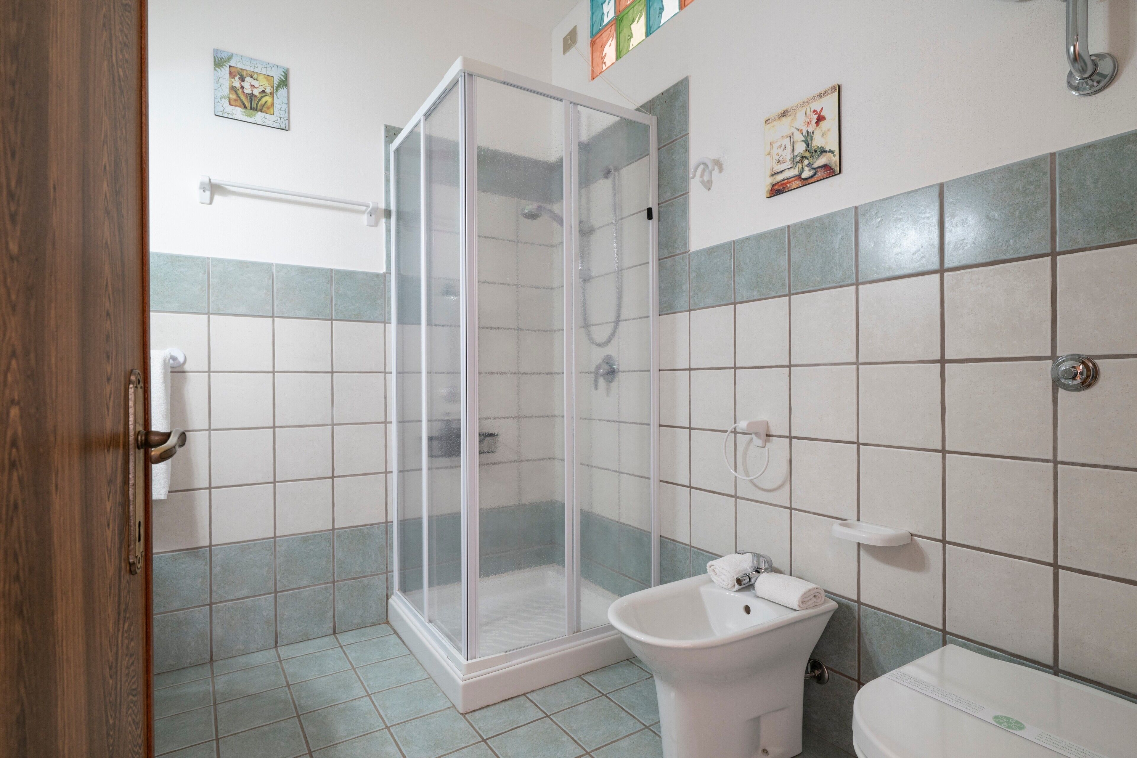 Shower, hair dryer, towels