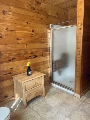Shower, towels, toilet paper