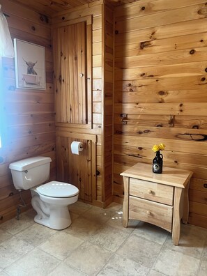 Shower, towels, toilet paper