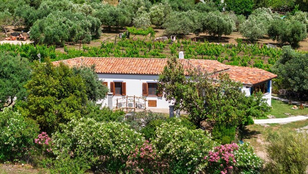 A white building with a red-tiled roof, surrounded by greenery and trees.