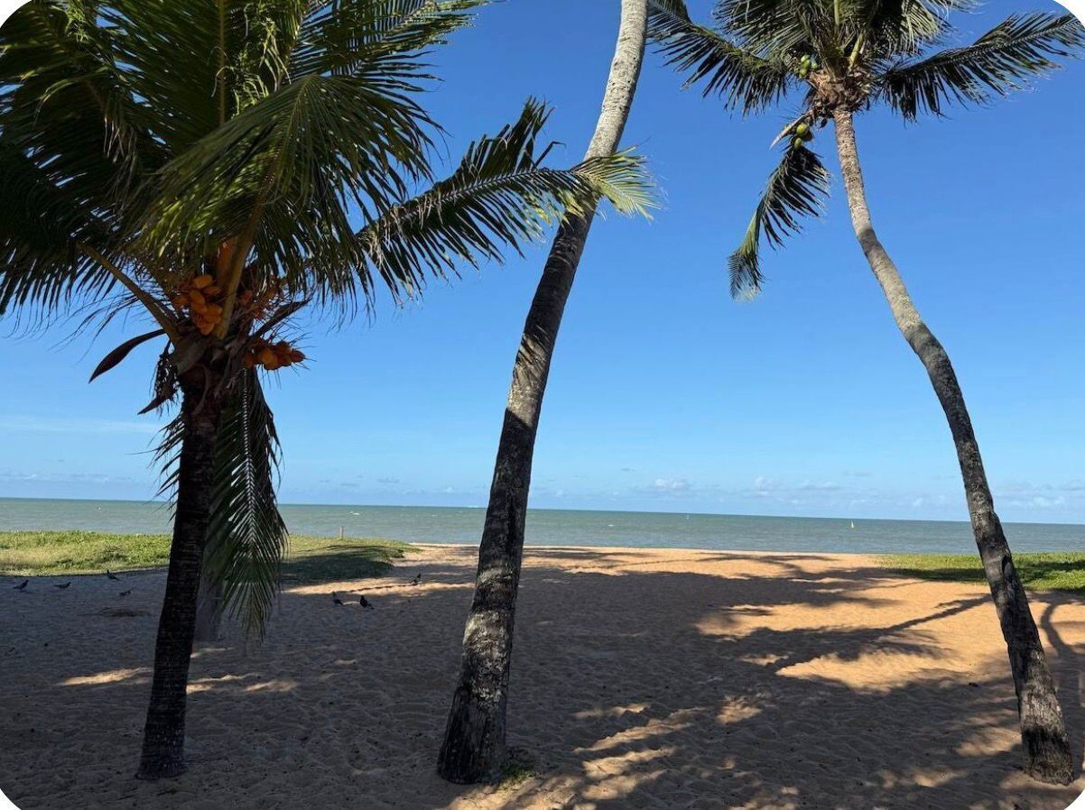 Playa