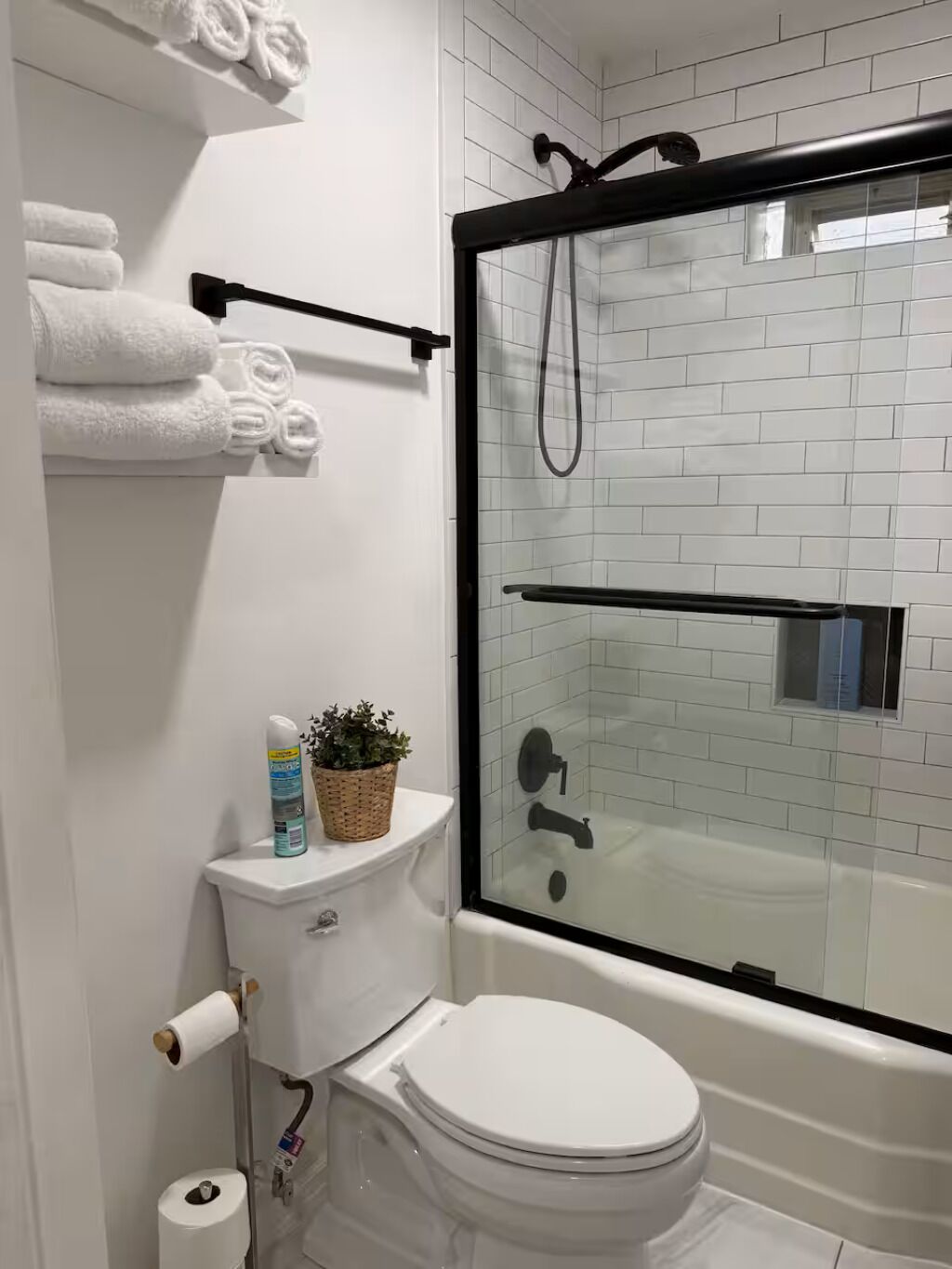 Hair dryer, towels, toilet paper