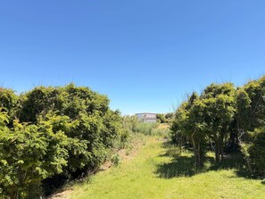 Ländliche Landschaft mit dichtem Grün, blauem Himmel und einem Gebäude in der Ferne.